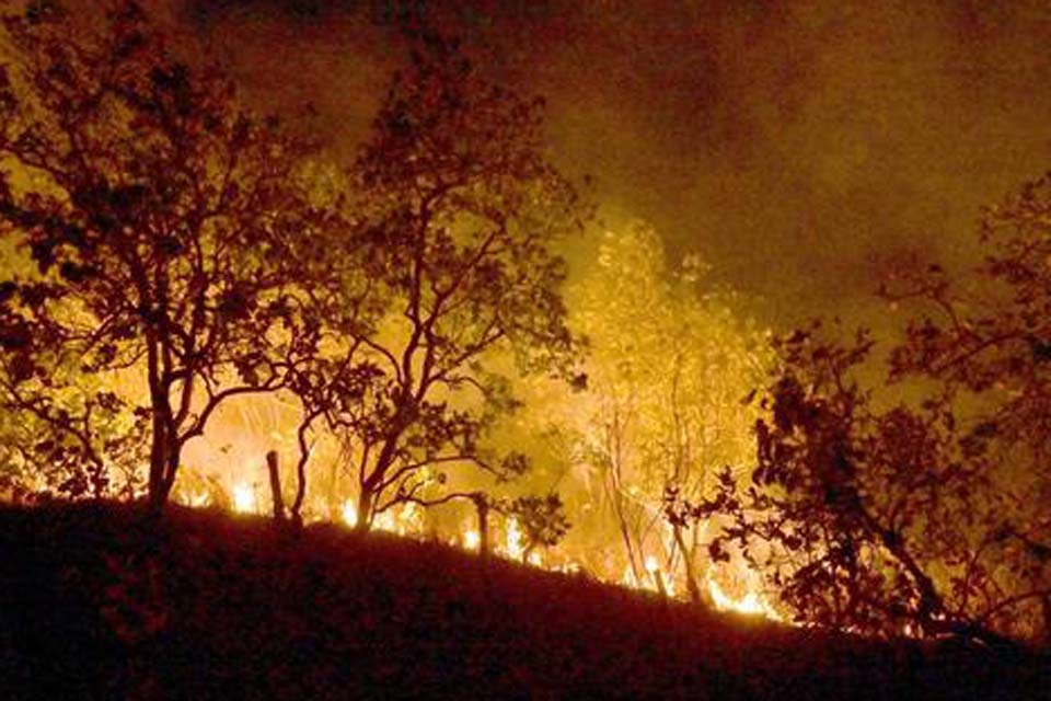 Defensoria Pública pede combate a incêndios em terras indígenas do MT