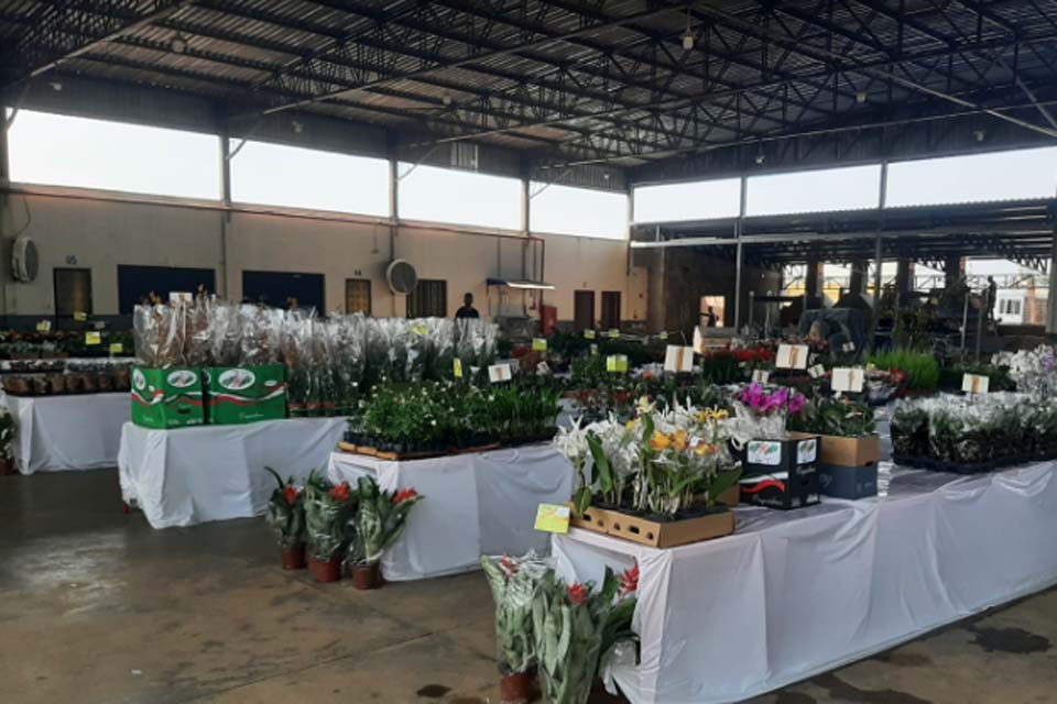 Apae de Jaru realiza mais uma Feira de Flores e Plantas