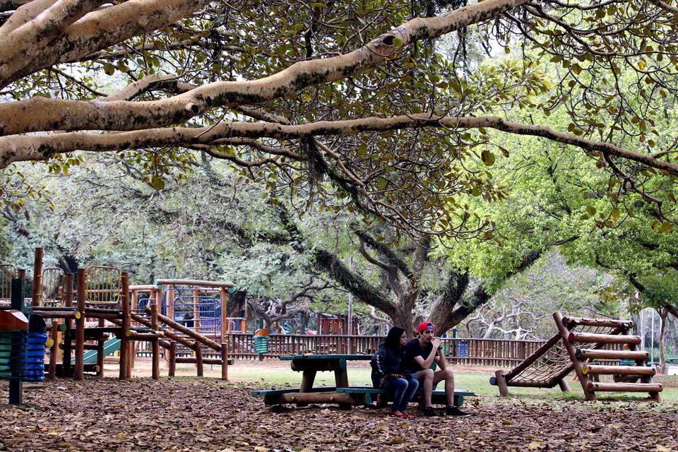 Prefeito de São Paulo sanciona lei que proíbe fumo em parques públicos