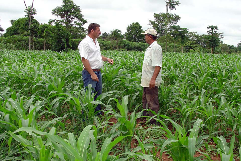 Dia especial mostra a produtores rurais a importância da gestão da propriedade