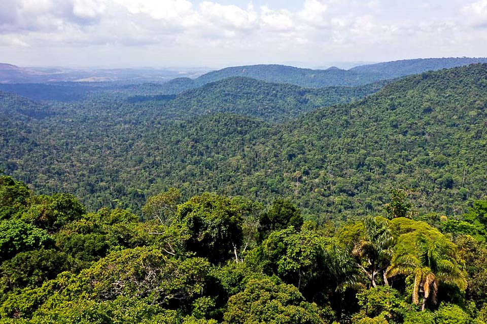 Lula propõe política unificada pela preservação ambiental na Amazônia