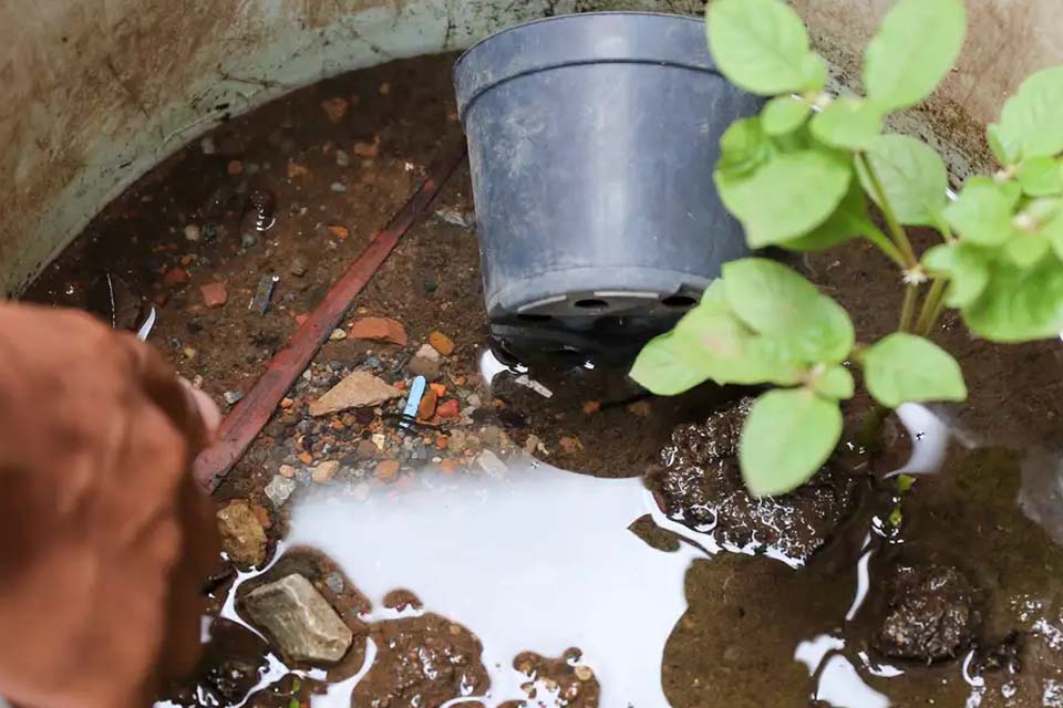 Brasil ultrapassa marca de 5 mil mortes por dengue