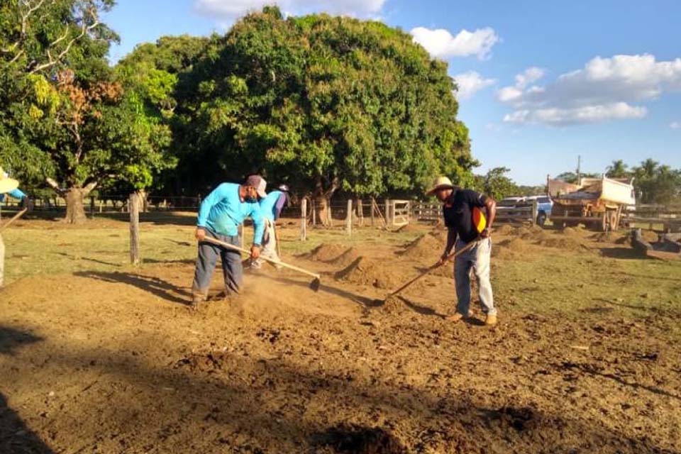 Detentos cultivam hortaliças na Cadeia Pública e alimentos são doados para entidades filantrópicas