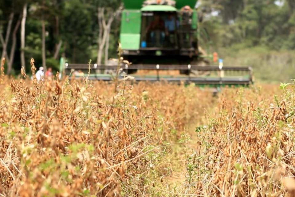 Potencialidades do agronegócio de Rondônia vão ser apresentadas no Fórum Estadual de Prefeitos e Vereadores nesta quarta-feira, 17