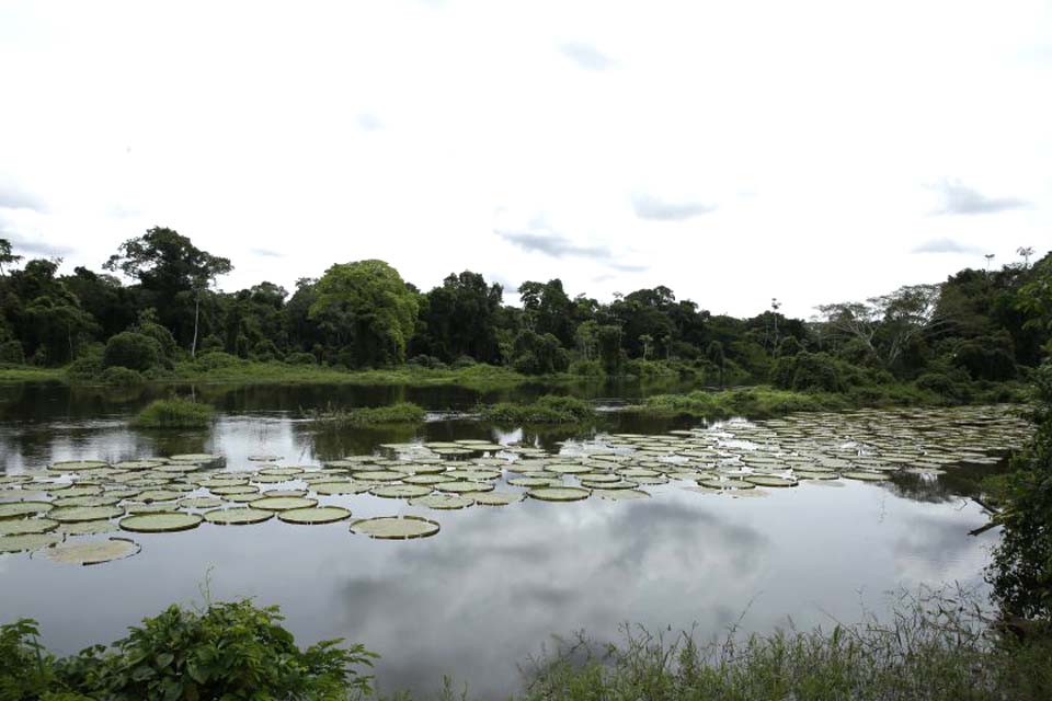 Fórum Estadual de Mudanças Climáticas acontece em Porto Velho nesta quinta-feira (7)