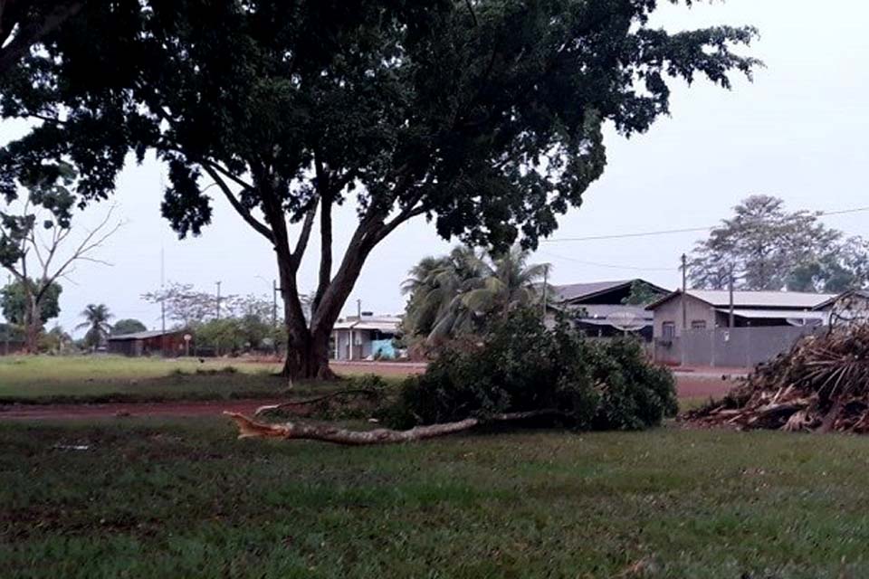 Temporal causa alagamentos e derruba árvore no município; chuva passou por várias cidades do Cone Sul