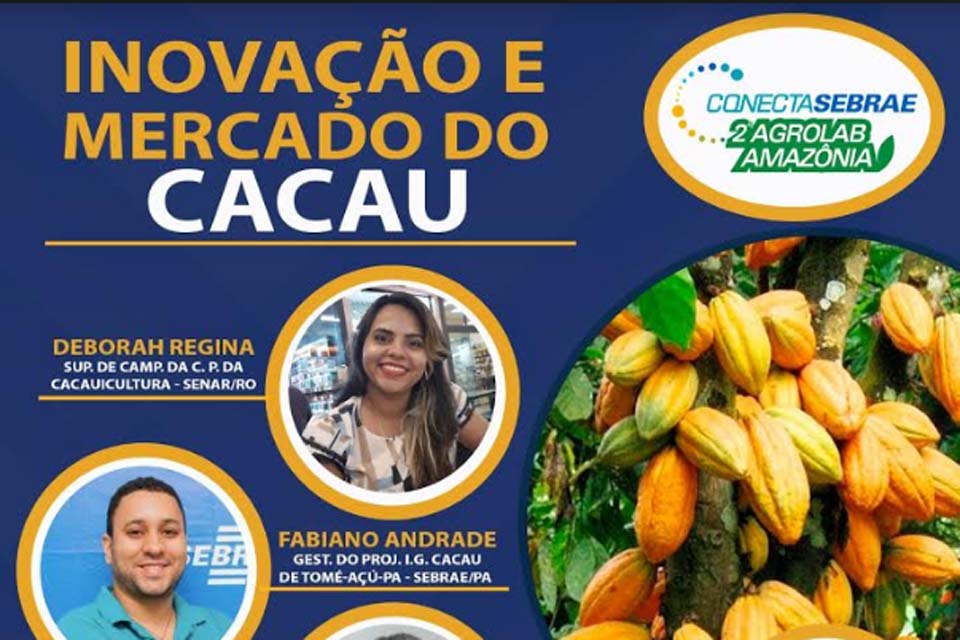 Inovação na cacauicultura em debate em live promovida pelo Sebrae