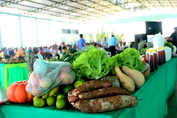 Mais de mil produtores da agricultura familiar de Rondônia atenderão ao Programa de Aquisição de Alimentos