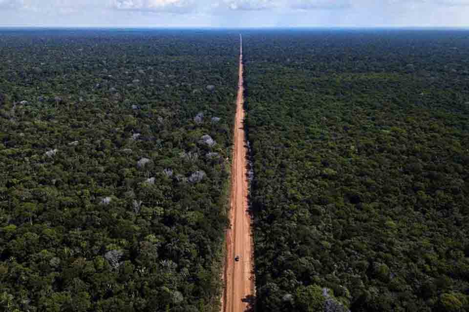 Criadores de Peixes de Rondônia otimistas com restauração da BR-319