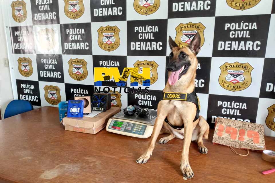 Operação do Denarc apreende meio quilo de cocaína em agência dos correios