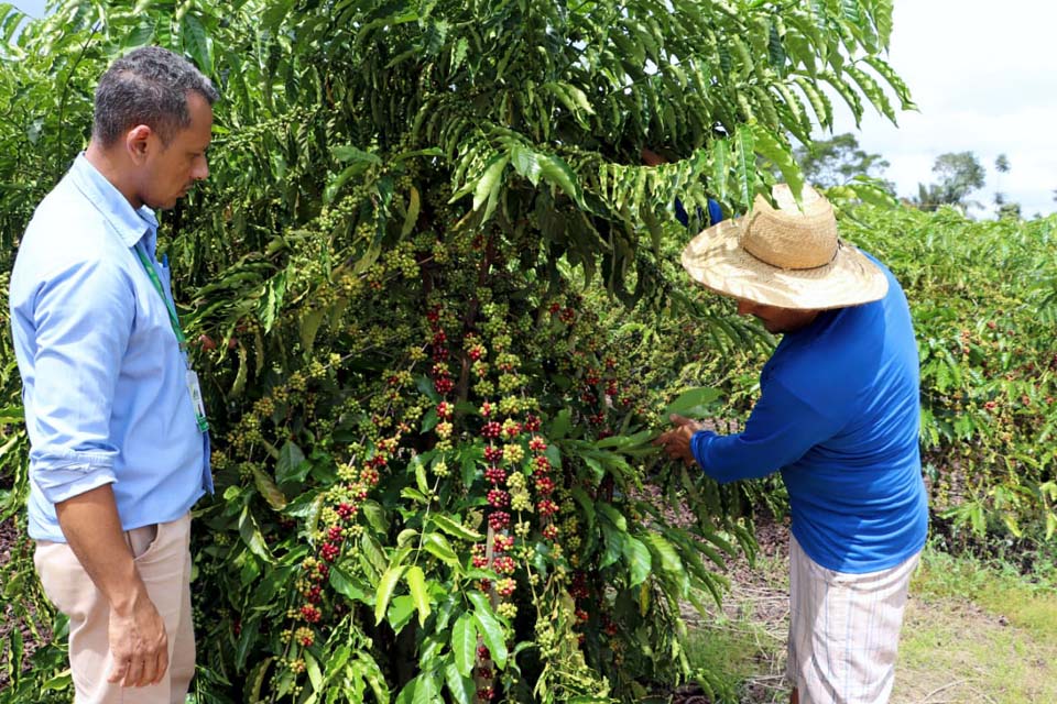 Cafeicultores serão beneficiados com construção de local para armazenagem de agroquímicos