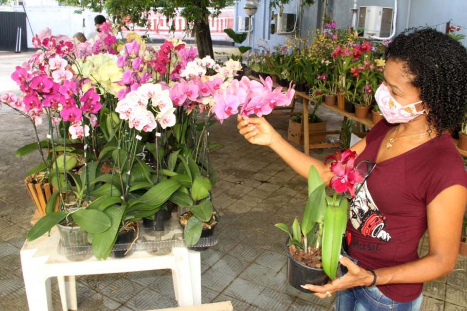 Exposição de orquídeas está aberta à visitação na Casa da Cultura Ivan Marrocos até sábado, 5