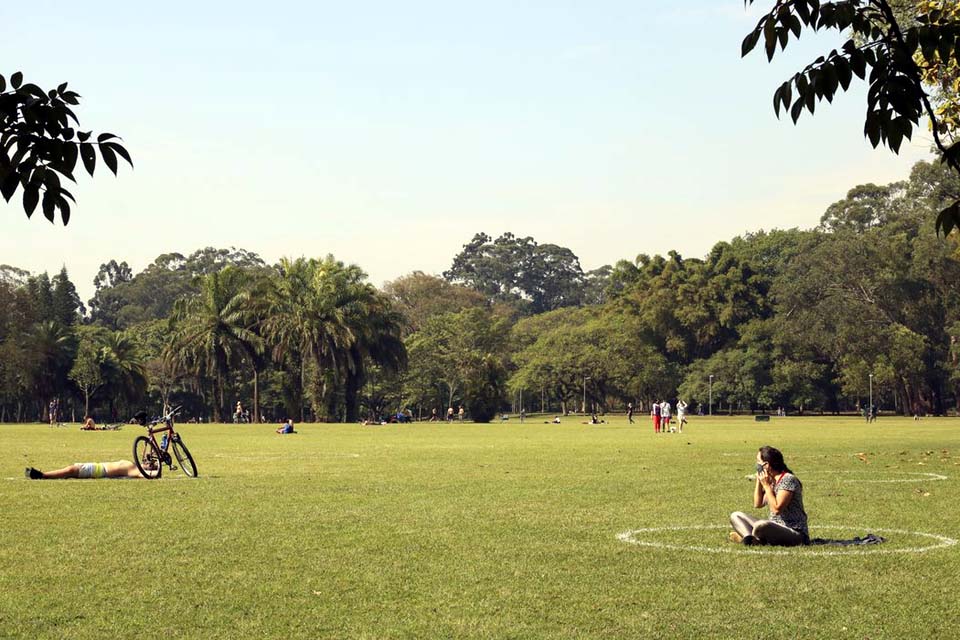 Estado celebra Semana do Meio Ambiente com atividades diversas