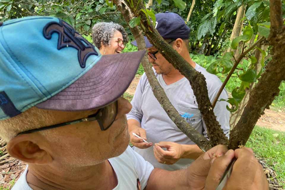 Governo impulsiona gestão pública na 3ª Reunião do Polo Cacau Amazônico