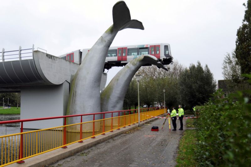 Trem sai dos trilhos e é salvo por escultura de rabo de baleia na Holanda 
