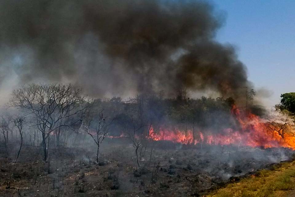 Plano ABC+ entra em vigor em setembro e vai reduzir emissão de carbono