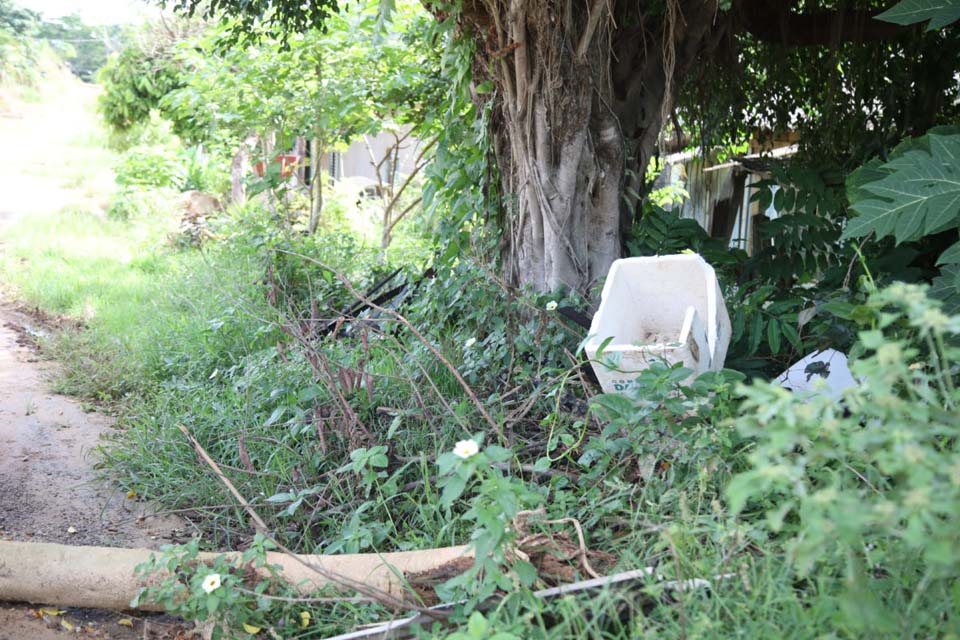 Agentes de saúde de endemias realizam visitas domiciliares e orientam moradores sobre a importância da limpeza dos quintais no combate à Dengue