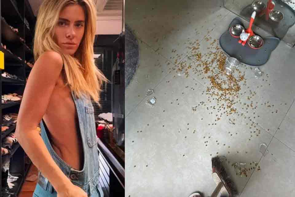 Carolina Dieckmann relata invasão de macacos em sua casa: “Quebraram tudo!”