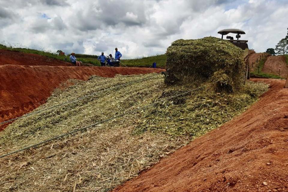 Incentivos do Governo triplicam produtividade leiteira em propriedade rural 