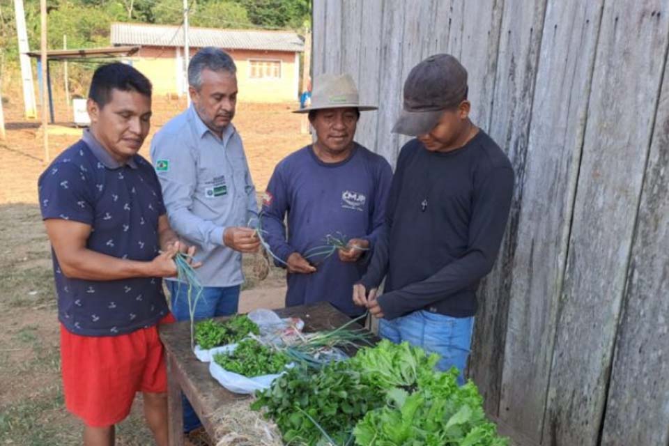 Implantação de hortas agroecológicas fortalece produção sustentável alimentar em comunidades indígenas