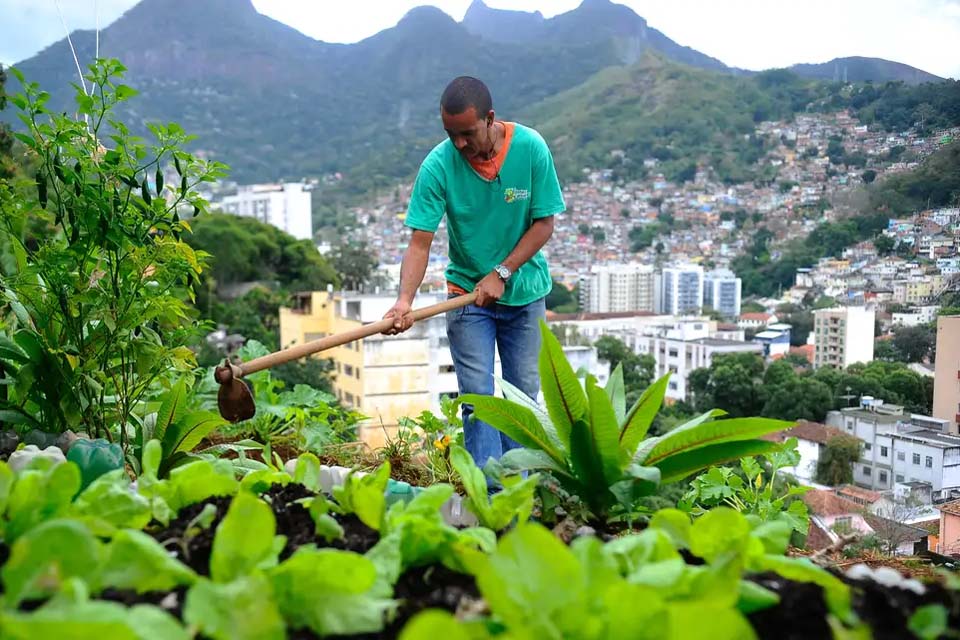 Nova lei pretende estimular a produção de alimentos nas cidades