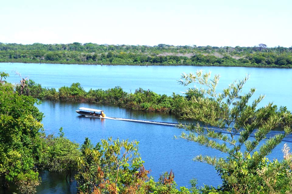 Prefeitura de Porto Velho garante retomada de cooperativa de carne de jacaré em Porto Velho