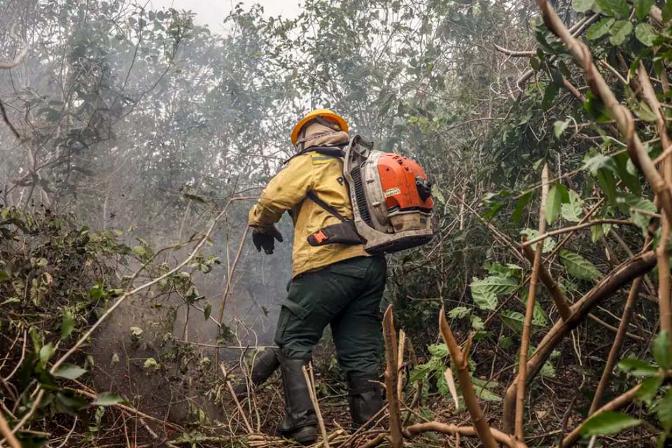 Dino manda governo ampliar combate ao fogo na Amazônia e no Pantanal