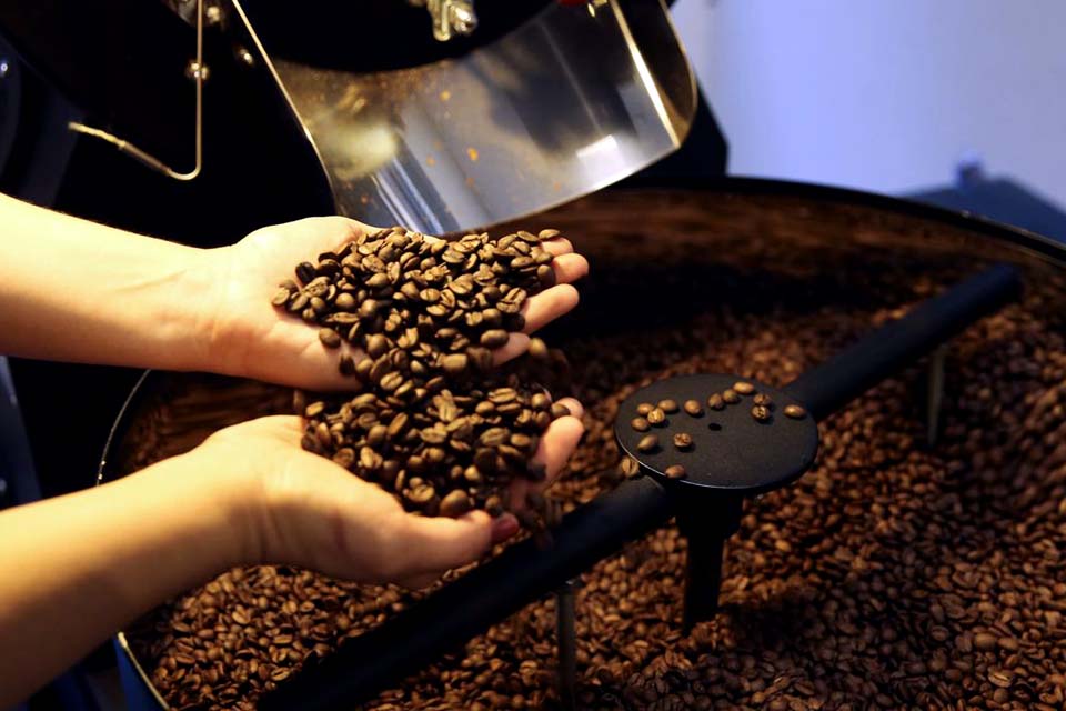 Consumo mundial de café atinge volume de 167,58 milhões de sacas