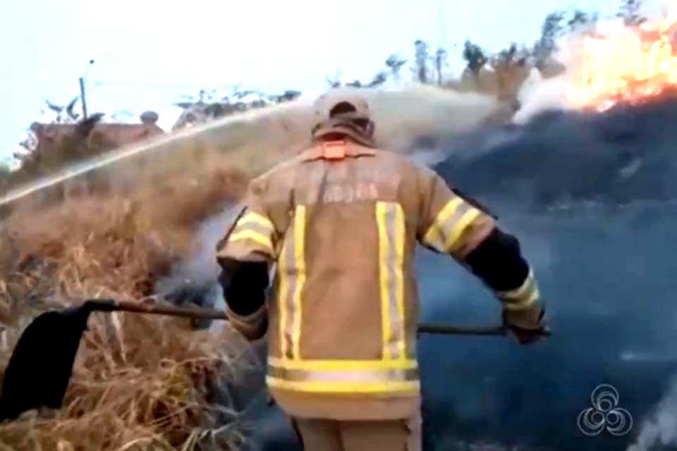 Incêndio é registrado em área de preservação na zona urbana