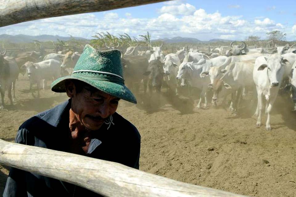 Plataforma ajuda a aumentar arrecadação do Imposto Territorial Rural