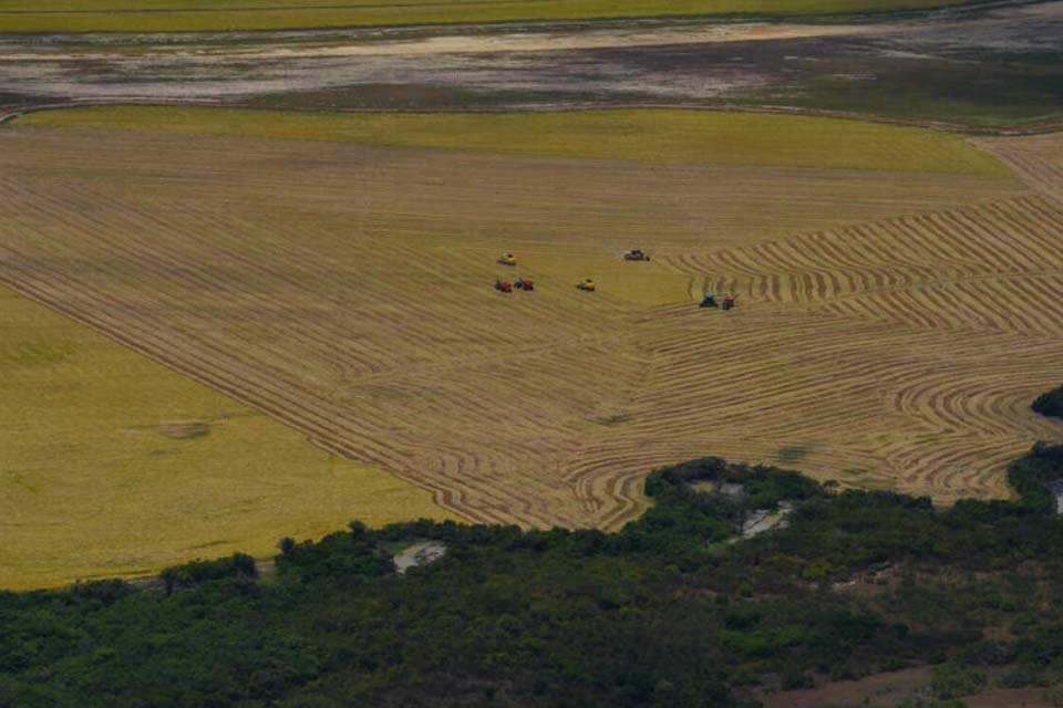 Pesquisadora do Imazon alerta para avanço do desmatamento na divisa do Acre com Rondônia