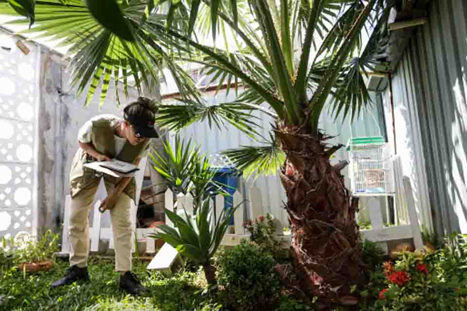 Prevenção de dengue deve ir além de mensagens sobre hábitos e cuidados