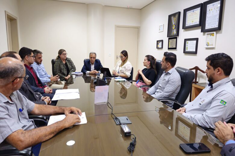 Tribunal de Contas busca solução consensual para situação da ponte sobre o rio da Vala em Porto Velho