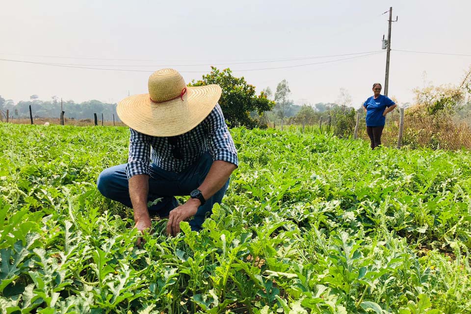 Produtores comentam resultados positivos de plantio de melancia com apoio da Prefeitura 