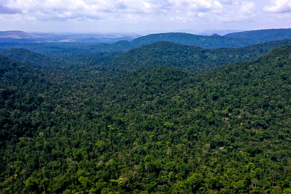 Desmatamento na Amazônia cai 31% de janeiro a maio