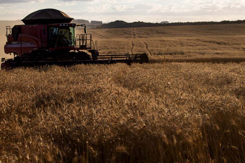 Câmara aprova criação de fundo de investimento do setor agropecuário