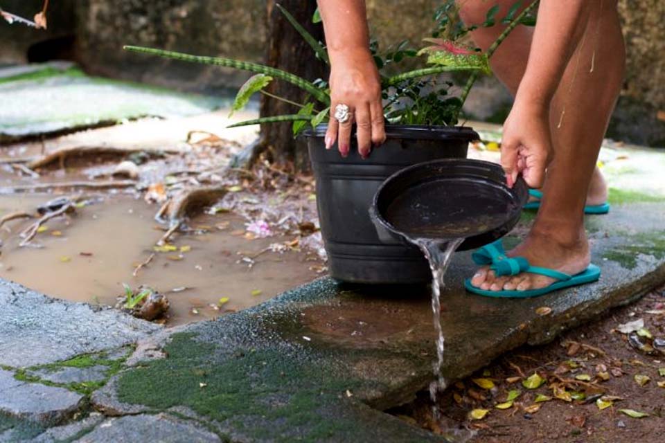 Dia D contra a dengue convoca população a eliminar focos do mosquito