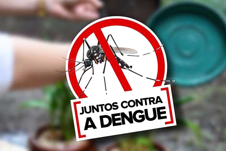 Dia Nacional de Combate ao Aedes aegypti é neste sábado