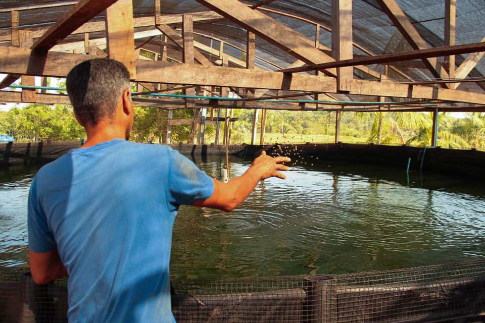 Piscicultura tem grande desenvolvimento e criação de tambaqui é destaque em Rondônia