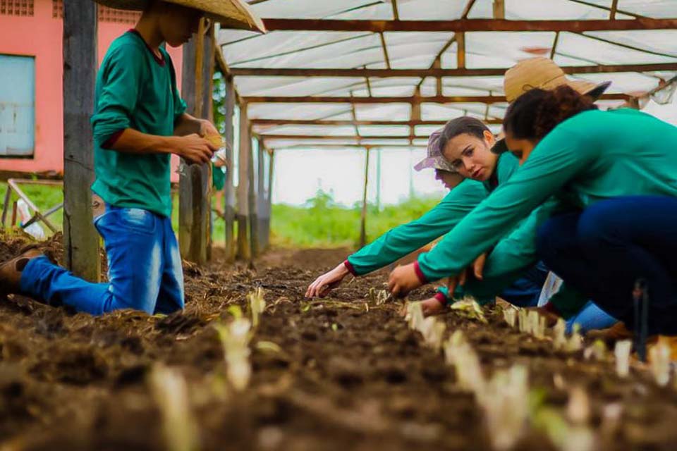 Governo abre edital para contratar fornecedores de gêneros alimentícios para atender Centro Técnico Abaitará