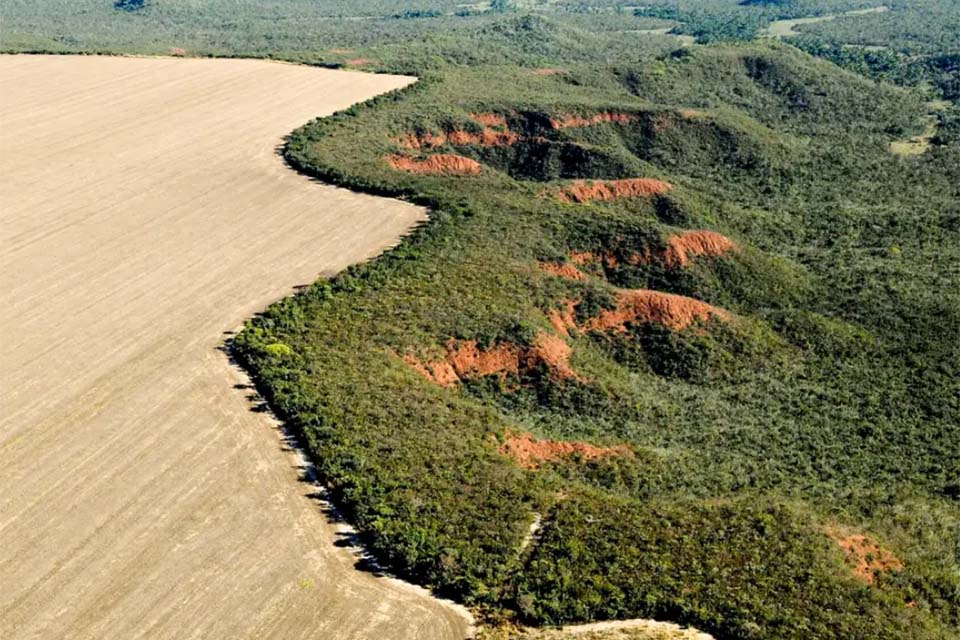 Cerrado: desmatamento emite 135 milhões de toneladas de CO2 desde 2023