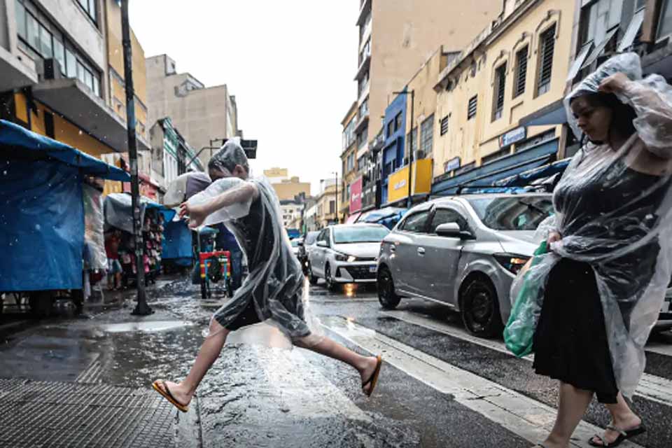 Chuvas fazem mais uma vítima em São Paulo com queda de árvore