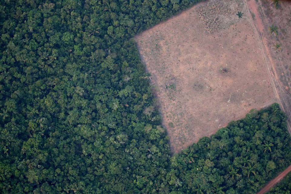 Desmatamento na Amazônia tem queda de 21,8% e no Pantanal, de 9,2%