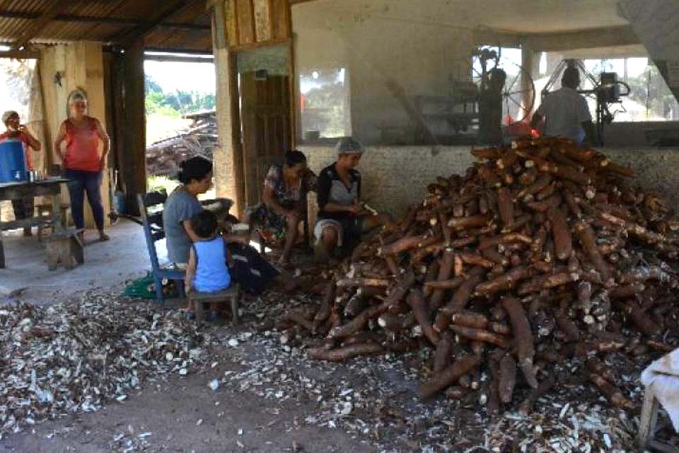 Enfrentando dificuldades na pandemia, agroindústrias dão exemplo de superação e perseverança 