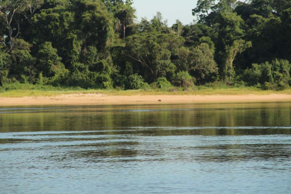 Governo de Rondônia viabiliza ações para regularizar terras públicas da União  no período de 30 de outubro a 11 de novembro