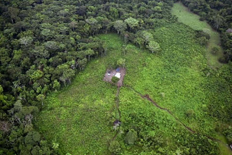 Colômbia e Equador se unem para combater crimes ambientais