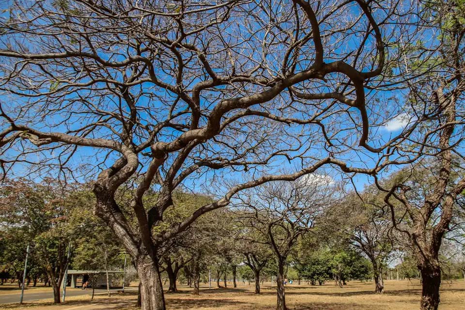 Inmet alerta sobre baixa umidade no Centro-Oeste e no Tocantins