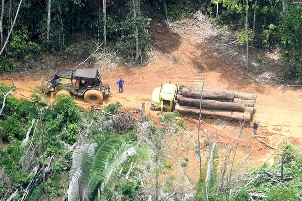 Povo Karipuna processa União, Funai e estado de Rondônia por invasões e devastação da terra indígena