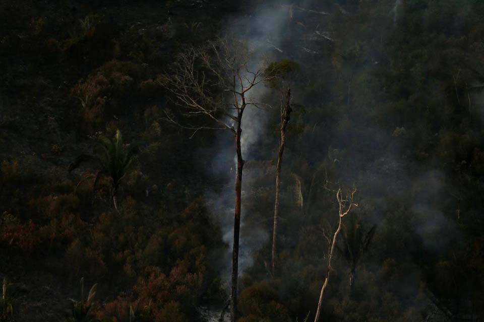 Ministério confirma recursos para combate a desmatamento na Amazônia