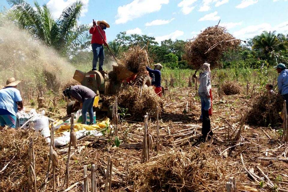 No Dia do Agricultor, Governo de Rondônia destaca a importância da agricultura para impulsionar a economia